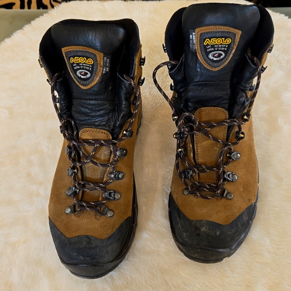 Asolo Men's Boots